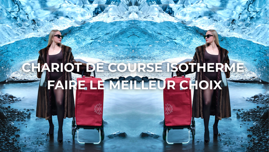Chariot de course isotherme : le caddie pliable et solide pour faire vos courses sans effort