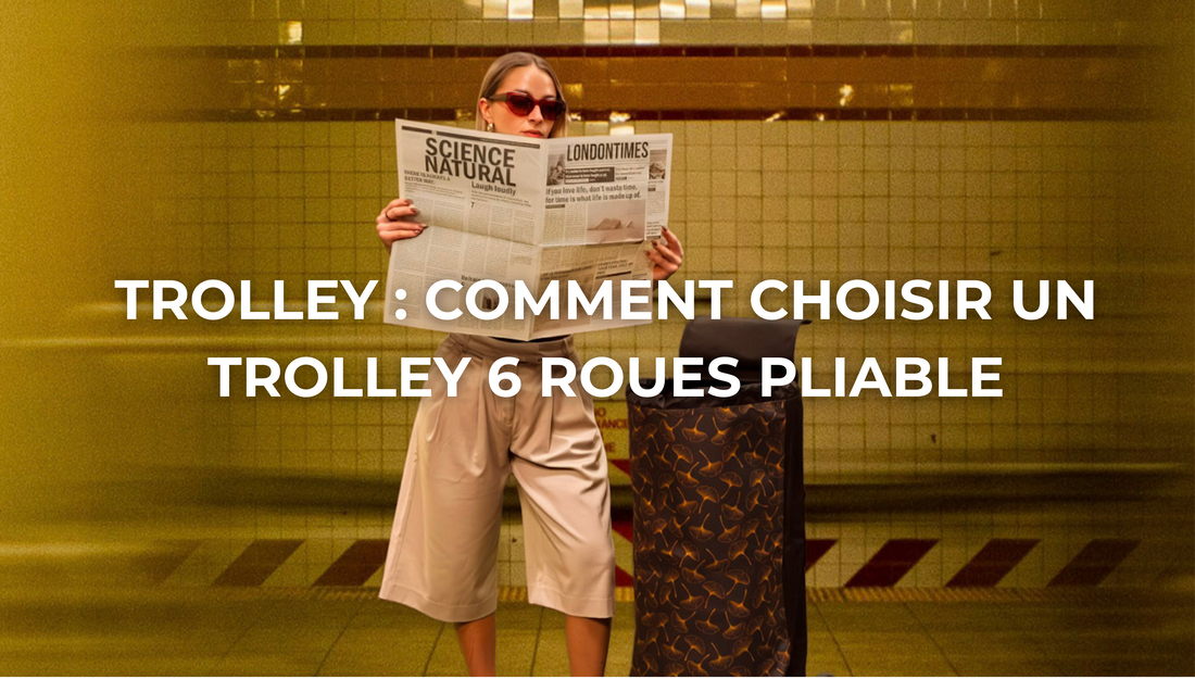 Trolley : comment choisir un trolley 6 roues pliable, résistant et adapté aux courses