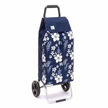 Chariot de courses - Carlux